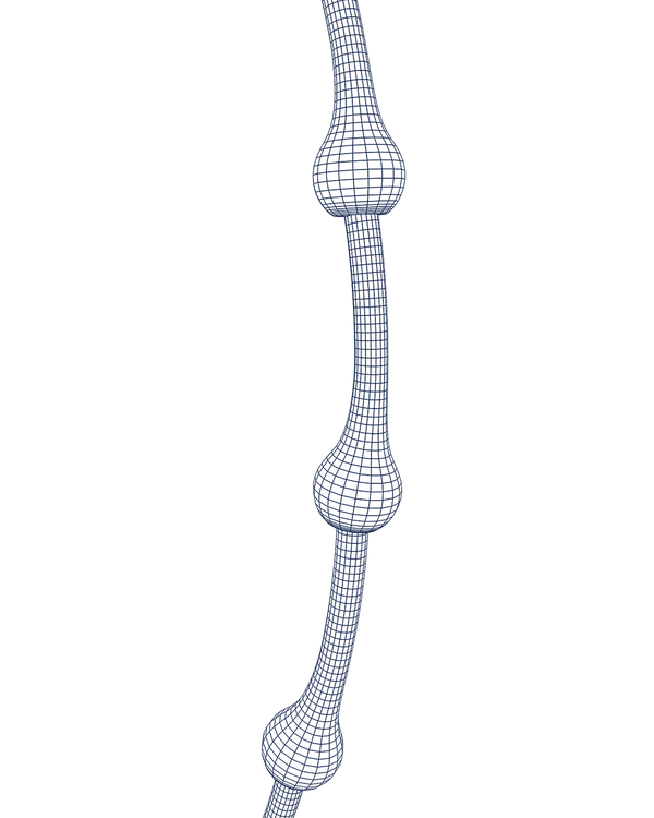 Custom Image